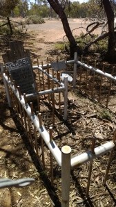 Mrs Ralton's Grave, Kulnine