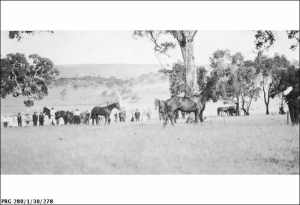 PRG280_1_30_278 1923 Searcy collection